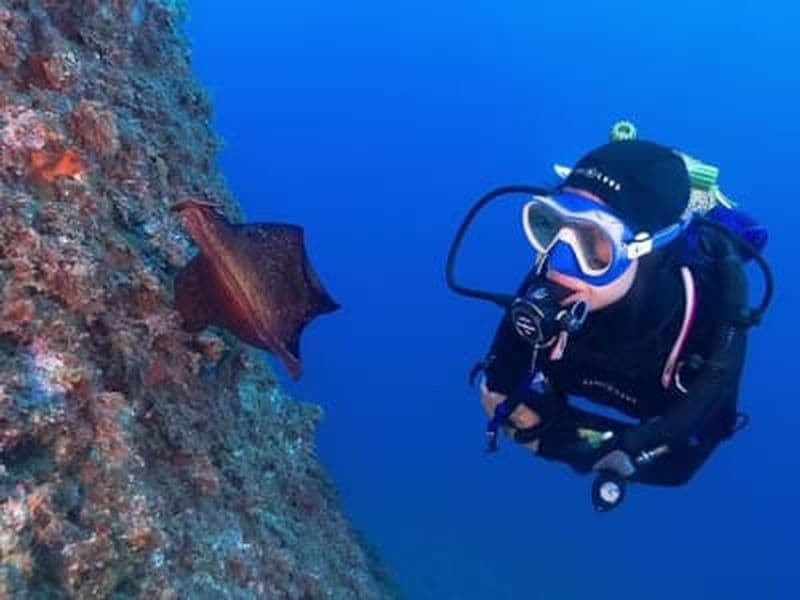 Billet Initiation à la plongée sous-marine à Calella de Palafrugell, Costa Brava