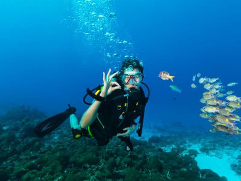 Billet Baptême de plongée dans le parc naturel du Montgrí près de Gérone, Costa Brava