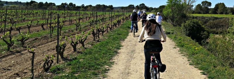 Billet Balade à vélo dans les vignobles du Penedés
