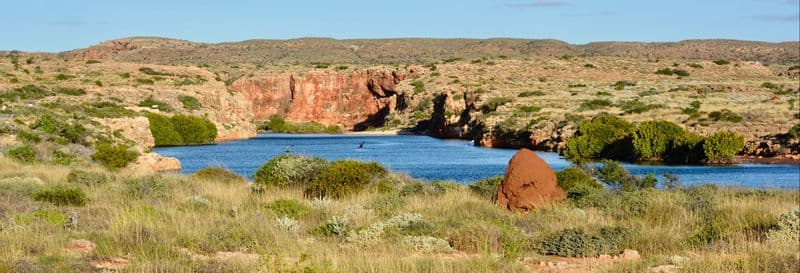 Billet Excursion à Ningaloo