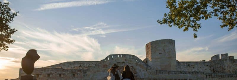 Billet Visite guidée de Zamora et de son château