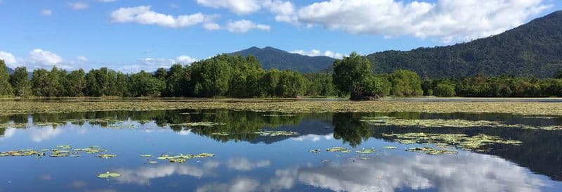 Billet Excursion à Cattana et aux Barron Falls + Skyrail Rainforest