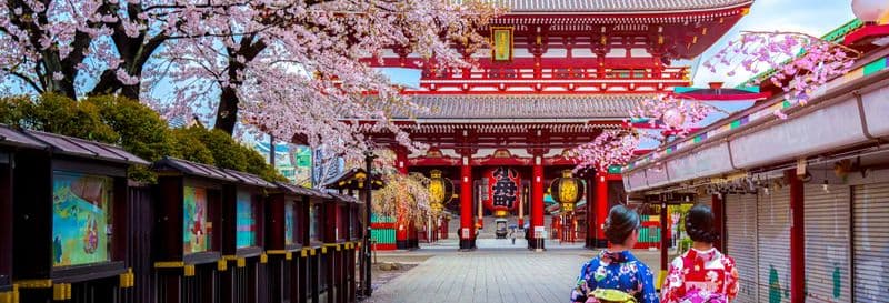 Billet Visite privée dans Tokyo