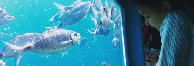 Billet Balade en bateau au Cap Norfeu et à Cala Jóncols