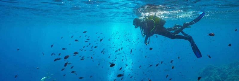 Billet Baptême de plongée au parc naturel du Montgrí