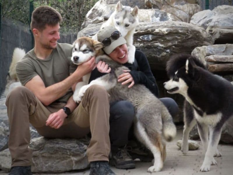 Billet Cani-Rando au Mont Caly (74)