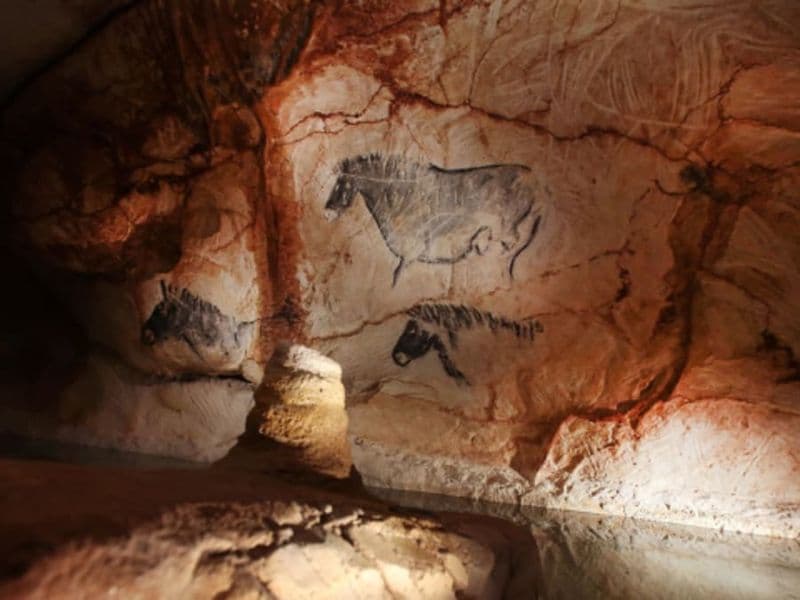 Billet Billet pour la Grotte Cosquer Méditerranée à Marseille (13)