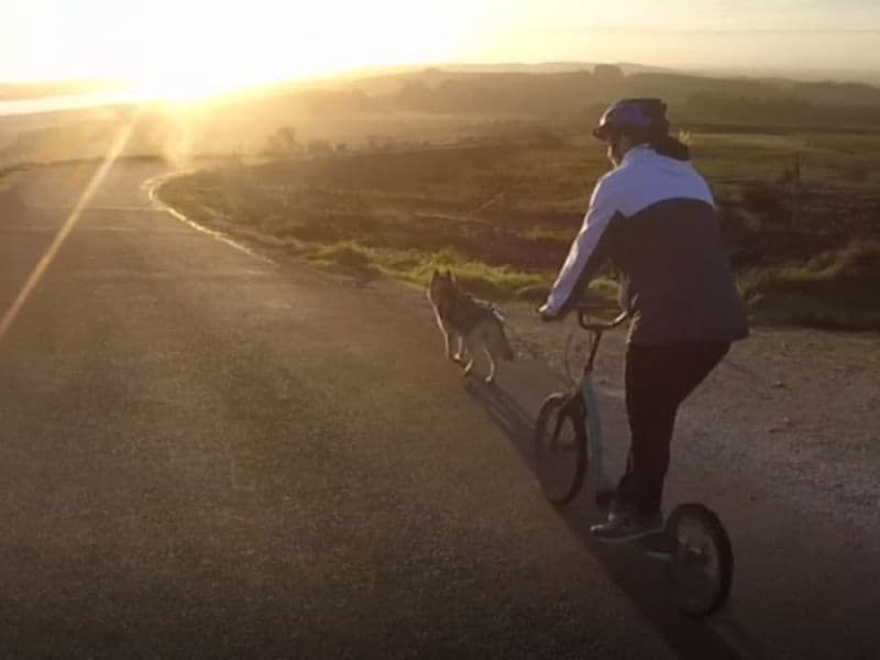 Billet Cani-trottinette aux Monts d'Arrée (29)