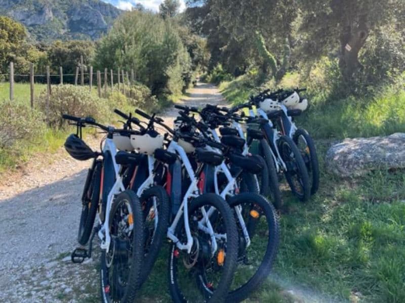 Billet Dégustations & visites à vélo électrique dans les Alpilles (13)