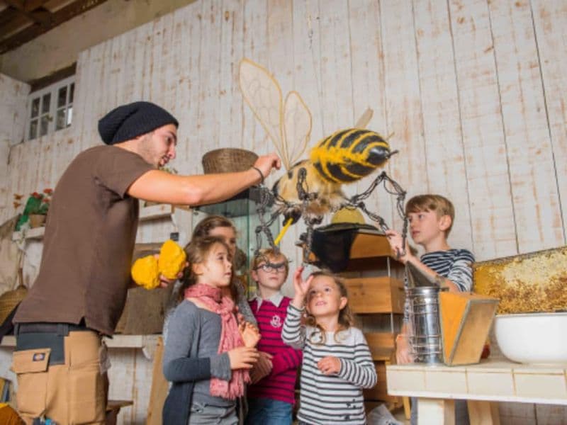 Billet Atelier Abeilles & Animaux à la Ferme de Gally St-Cyr-l'Ecole