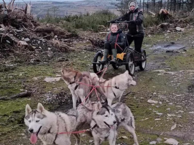 Billet Cani-Kart aux Monts d'Arrée (29)