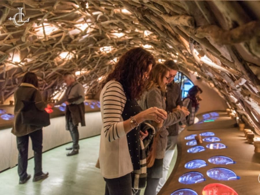 Billet Visite & dégustation de vins Caves du Louvre Paris (en anglais)