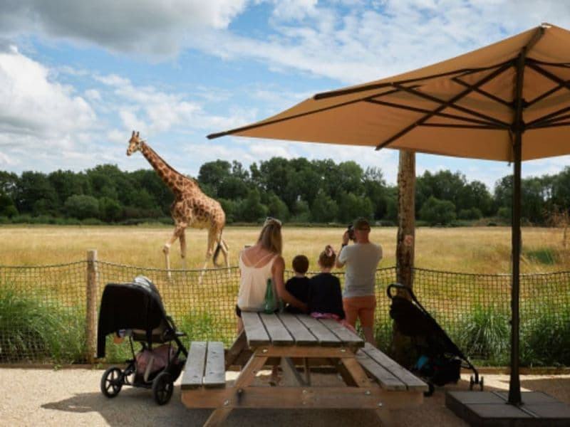 Billet Billet pour le Parc animalier et botanique de Branféré (56)