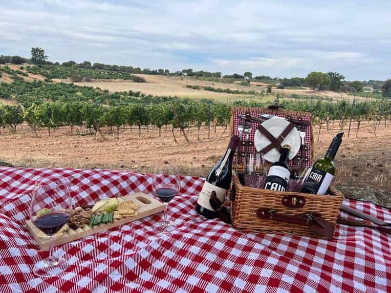 Billet Madrid : Circuit des vins rouges et blancs de Ribera del Duero et de Rueda