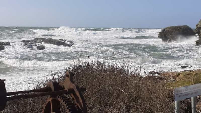Billet Holyhead : randonnée côtière sur l'île sacrée d'Anglesey