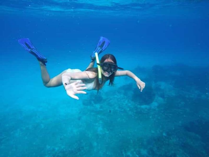 Billet Cozumel: Snorkeling Day trip at Playa El Cielo