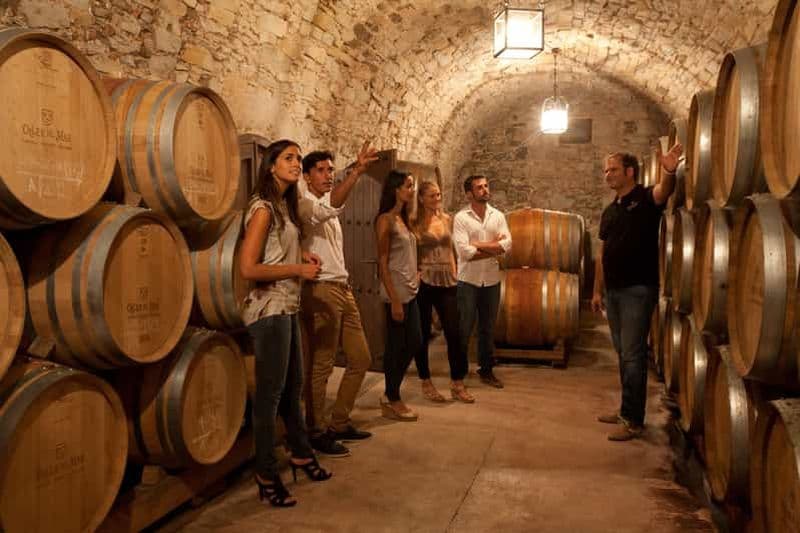 Billet Visite du vin Albariño : Dégustez, apprenez et repartez avec un cadeau spécial