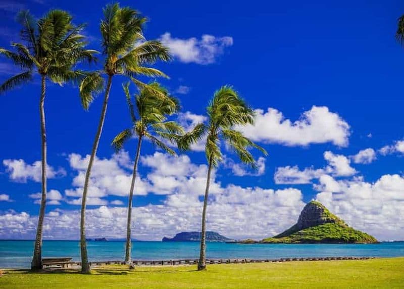 Billet Oahu : Tour de l'île Grand Circle avec Haleiwa