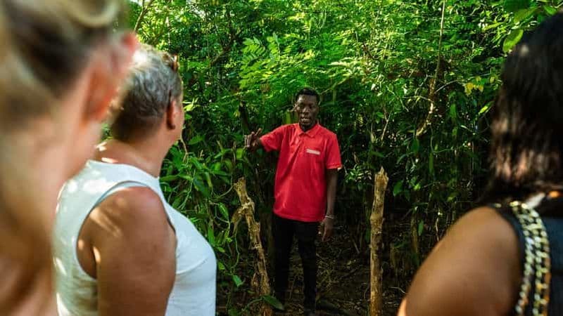 Zanzibar : Stone Town, cours de cuisine et visite d'une plantation d'épices