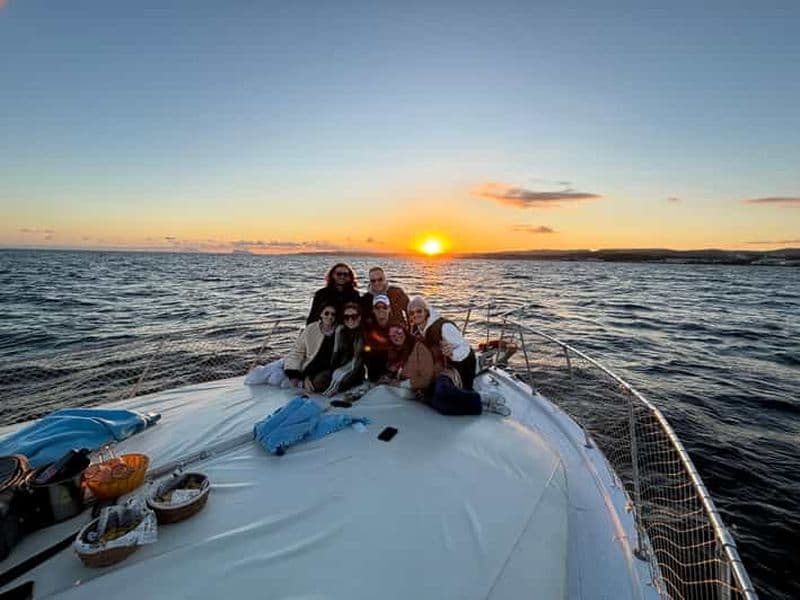 Billet Estepona : Croisière de recherche de dauphins en mer avec boissons et collations