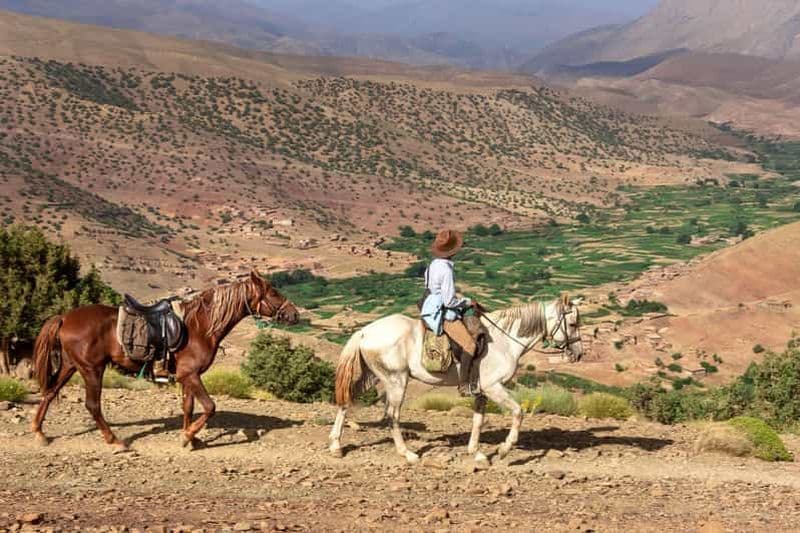 Billet Marrakech : Excursion à cheval dans les montagnes de l'Atlas et journée spa