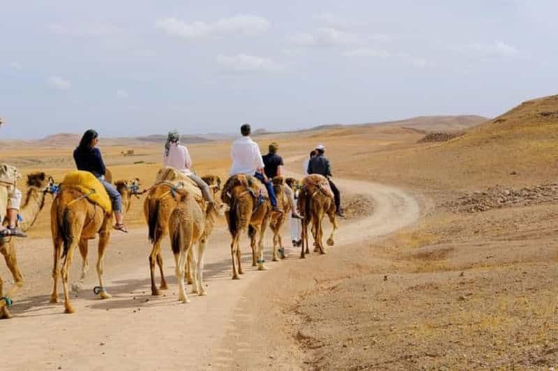 Billet Journée complète dans le désert d'Agafay et les montagnes de l'Atlas avec des chameaux