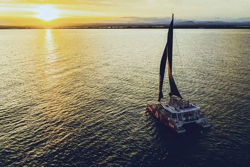 Billet La Grande Motte : Tour de Camargue en catamaran au coucher du soleil avec une boisson