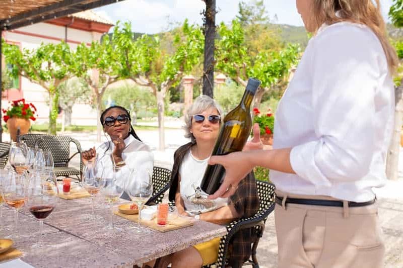 Billet Visite gastronomique d'un domaine viticole : Dégustation de vins et menu gastronomique à 8 plats