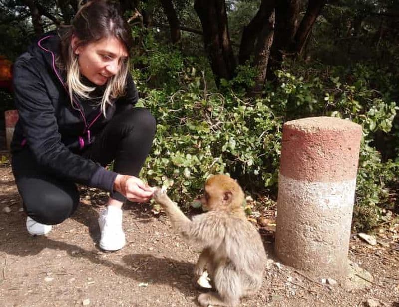 Billet Au départ de Fès, excursion spéciale dans le Moyen Atlas en petit groupe