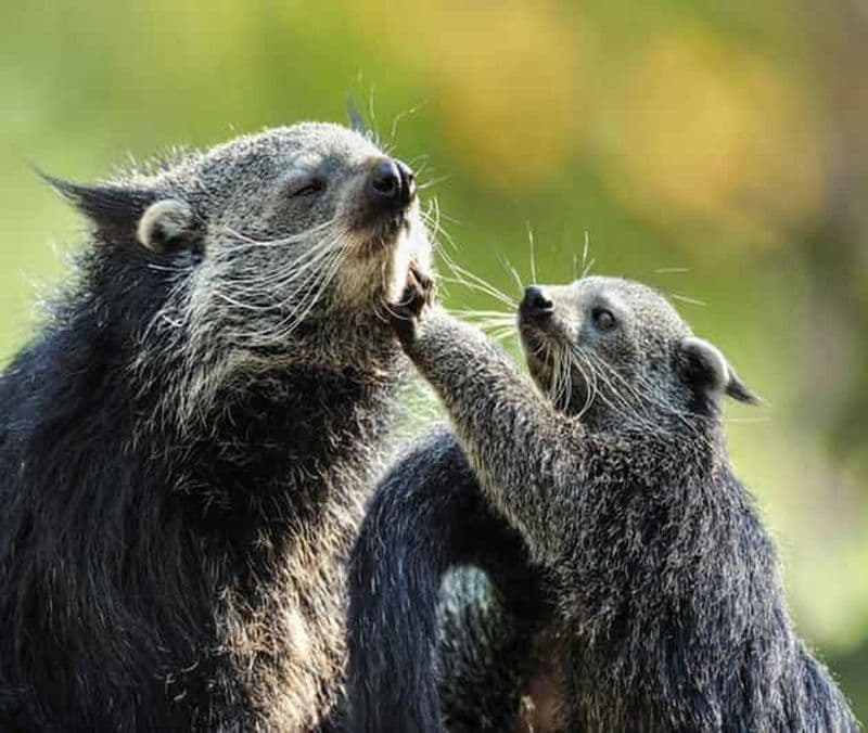 Billet Paris : Zoo de la Ménagerie du Jardin des Plantes Billet d'entrée