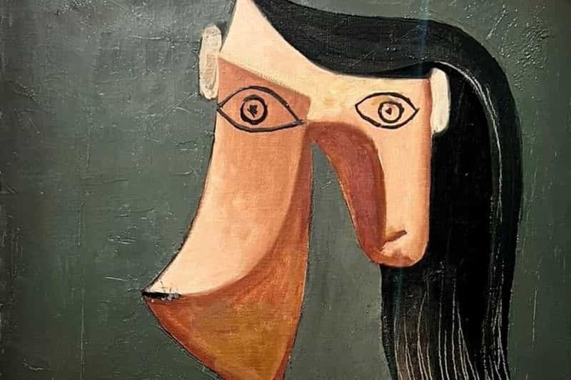 Billet Paris : Billet pour le musée Picasso et croisière facultative sur la Seine