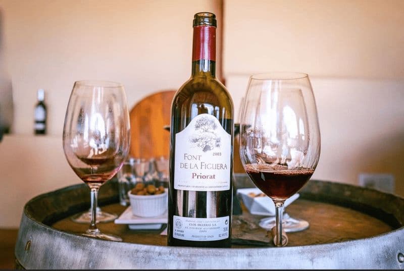 Billet Visite du Priorat dans 3 petits domaines viticoles et prise en charge à l'hôtel