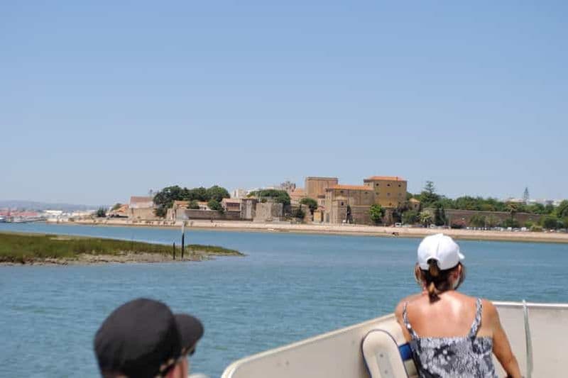 Billet Faro : Tour en bateau de la lagune de Ria Formosa avec un guide local