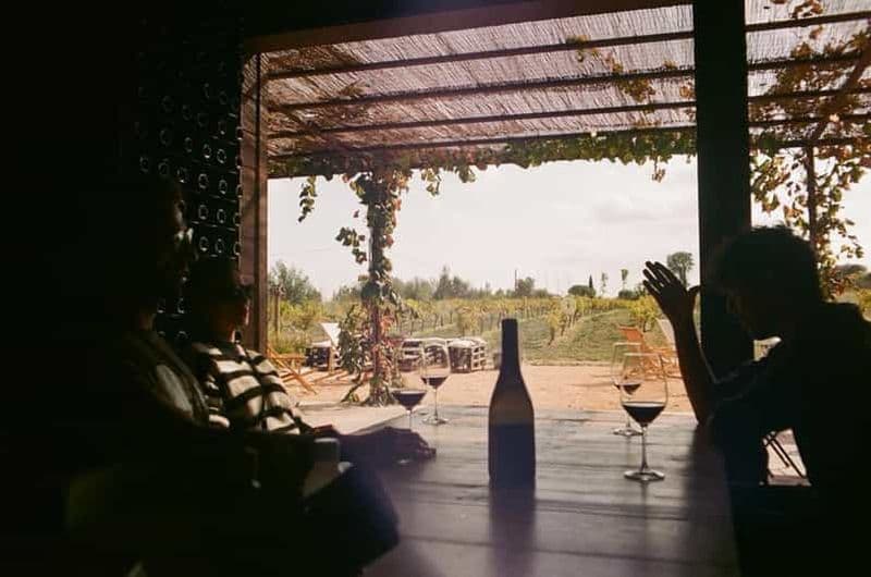 Billet Depuis Barcelone : visite de deux caves à Priorat avec déjeuner inclus.