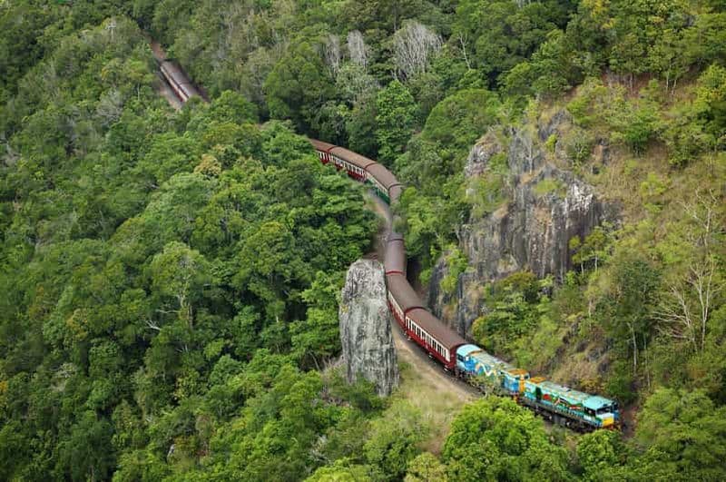 Billet N. Queensland : excursion d'une journée dans la forêt tropicale de Kuranda