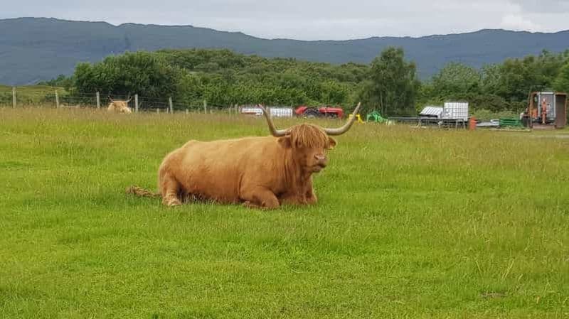 Billet Inverness : circuit Outlander, Culloden, Clava Cairns et plus encore