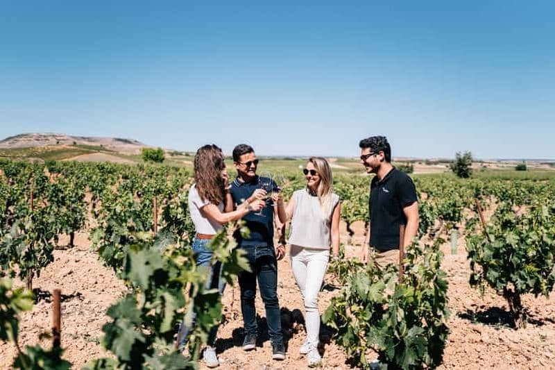 Billet Depuis Madrid : Ribera del Duero et visite de Ségovie