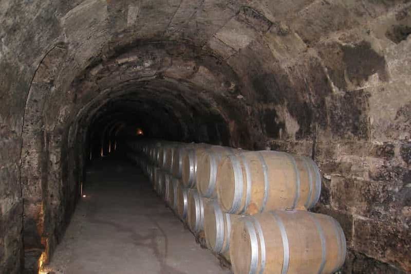 Billet Depuis Madrid : Visite de la Ribera del Duero et de 3 caves différentes