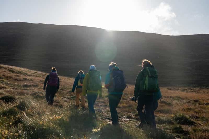 Billet Au départ d'Édimbourg : Excursion d'une journée dans les montagnes de Cairngorms avec guide