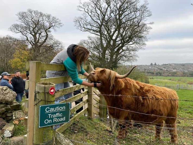Billet Édimbourg : Vache des Highlands, château de Blackness et visite guidée des gâteaux
