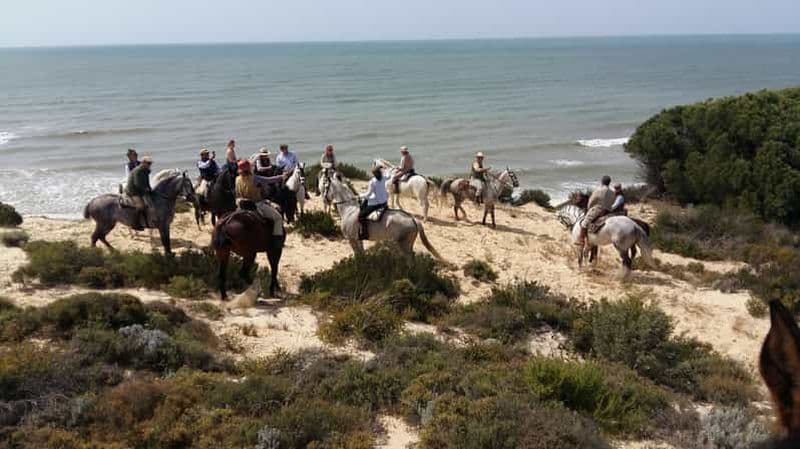 Billet Randonnée à cheval dans le parc national de Doñana
