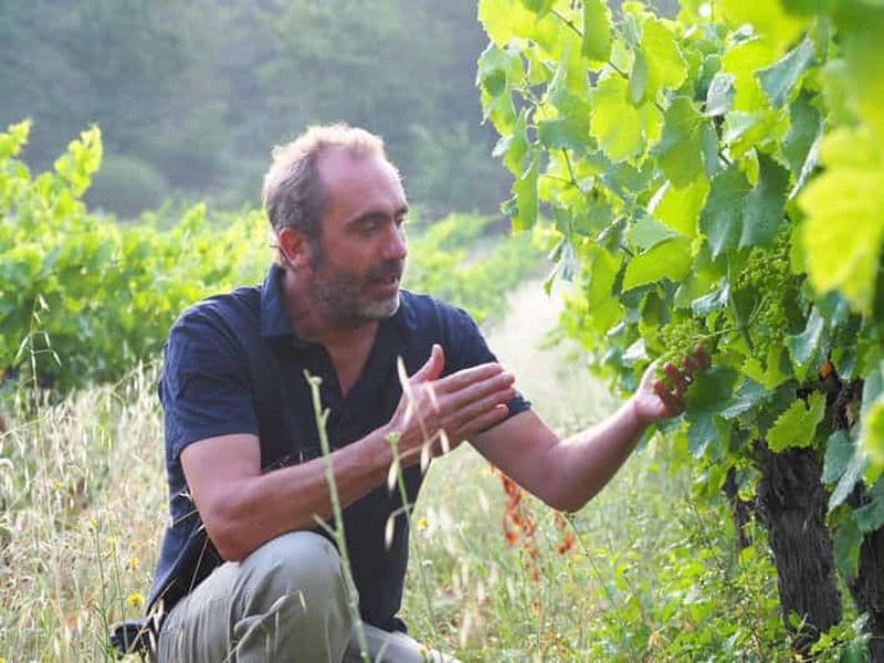 Billet Luberon: visite de cave et dégustation de vin commentés par un oenologue