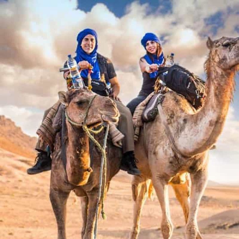 Billet Au départ de Marrakech : Excursion d'une journée dans le Haut Atlas et les 4 vallées