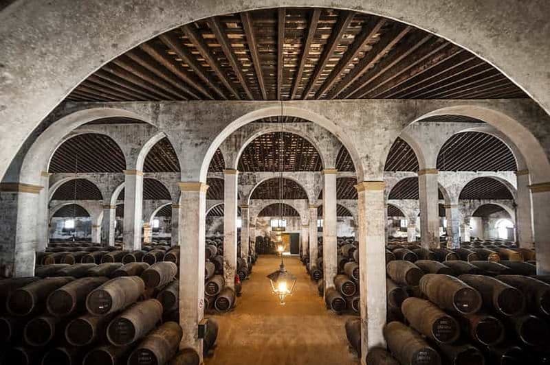 Billet Jerez : visite d'une heure et demie d'une cave à vin et dégustation de vin de Xérès