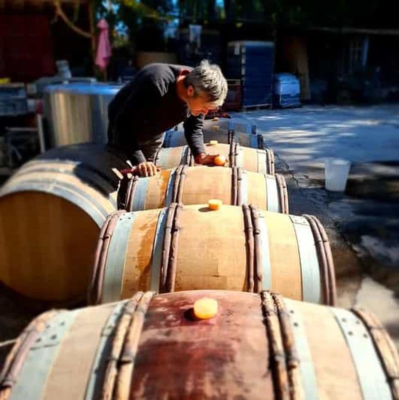 Billet Alpilles : Découverte à vélo électrique de domaines viticoles et de fermes
