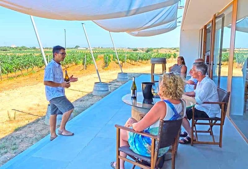 Ciutadella de Menorca : Visite d'un vignoble familial avec dégustation de vin