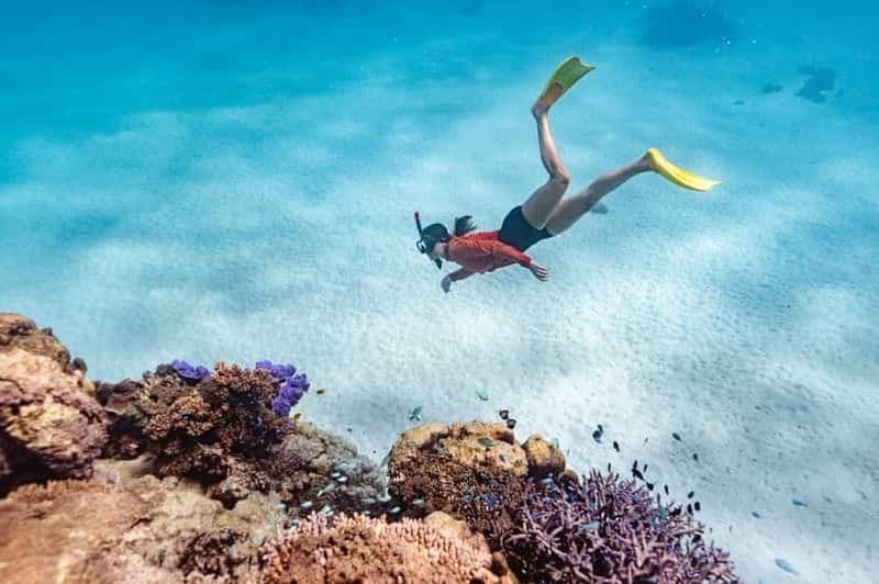 Billet Exmouth : Aventure guidée de plongée en apnée sur le récif de Ningaloo
