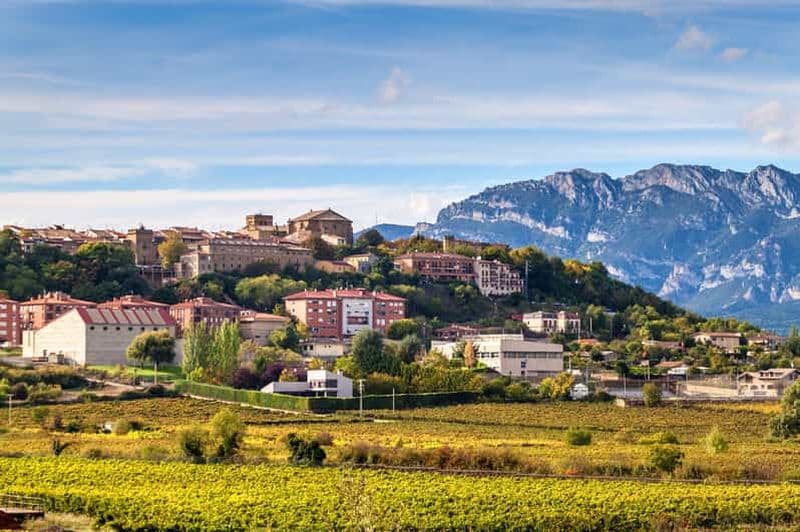 Billet Excursion à Vitoria, La Rioja et dégustation de vin dans une cave de Laguardia