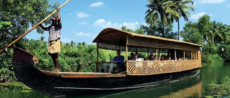 Cochin : Croisière d'une demi-journée sur le Backwater Village Eco Boat Cruise W/ Lunch