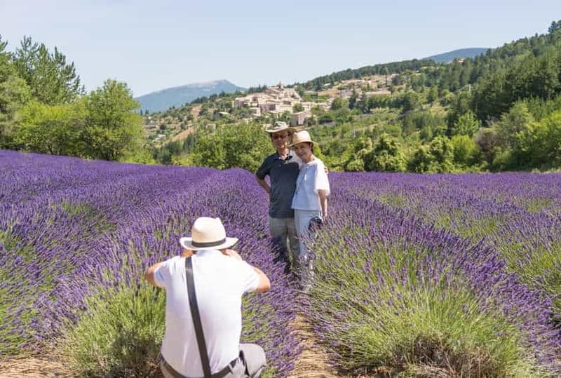 Billet Au départ d'Avignon : visite d'une demi-journée du Luberon à la découverte de la lavande
